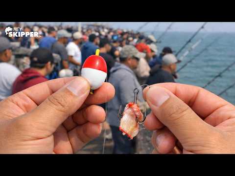 This Was Chaos. Fishing the Most CROWDED Pier in America with a Bobber