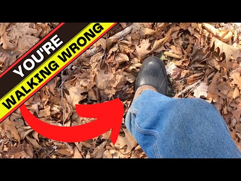 3 Ways to Walk in the Woods WITHOUT Being Detected by Animals