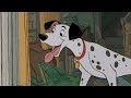 Les 101 Dalmatiens Pongo Seeing Perdita For The Very First Time