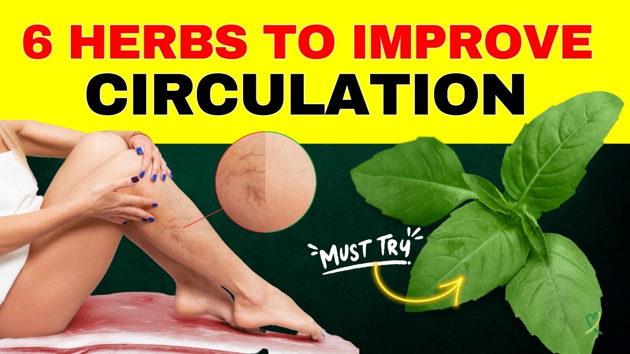 Top 6 Herbs To Improve Circulation In The Legs And Feet