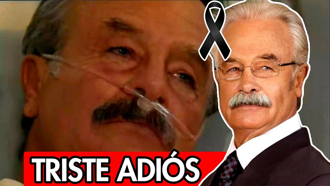 YouTube Thumbnail Downloader FULL HQ IMAGE