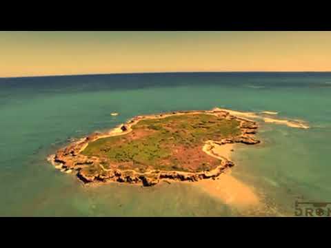 Malumu ni Tobu kei Naivaukura  - au veiciriyaki (Official Music Video)