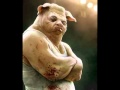 Enter Porkman   The Porkers