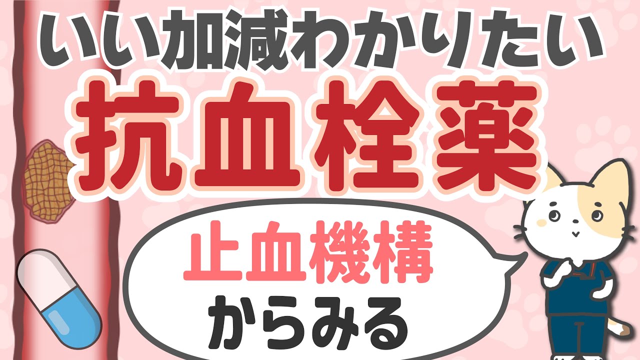 止血機構と抗血栓薬　～まとめて解説しました～