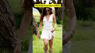 देखिए शेर वो सब कैसे करता है? Shocking Facts About lion | The Secret Life of Lion #lion #shorts