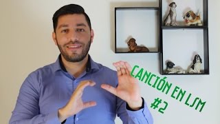 Uno Benny Ibarra en LSM