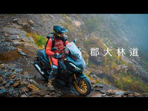 當時我怕極了...終於圓了郡大夢。