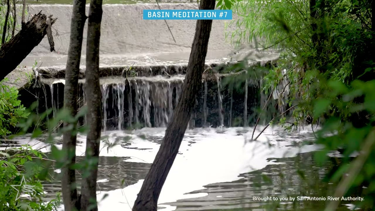 Sounds of Salado Creek at J Street Park - Basin Meditation