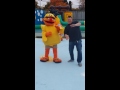 Looks Like Ernie From Sesame Street Is Really Getting Down