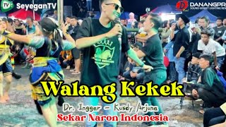 Download lagu 🎵 WALANG KEKEK Versi Jathilan Asoy Voc Dr Inggar - Kusdy Arjuna  | Sekar Naron | Seyegan Music mp3