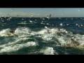 Tangerine Dream - The Cliffs Of Sydney