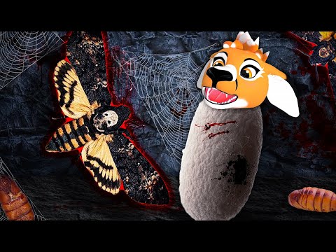 TRAFILIŚMY NA KRWIOŻERCZE ĆMY | ESCAPE THE BACKROOMS