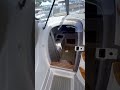 A NEW ENTRY LEVEL YACHT