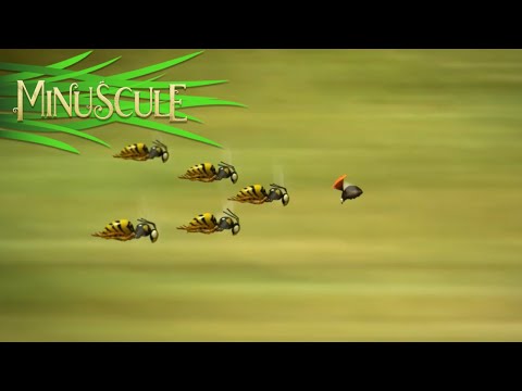 Minuscule - Top Tabasco (Season 2)