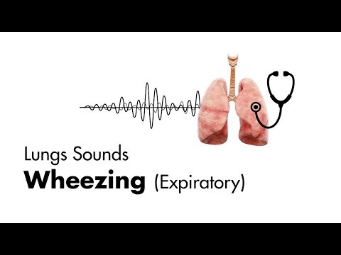 Wheezing (expiratory) - Lung Sounds - MEDZCOOL
