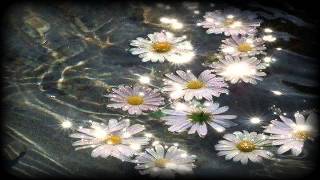 Rachel's  "  Water From The Same Source "   ( Extended )