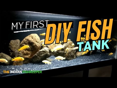How To Make Fish Tank At Home | DIY | The Indian FishKeeper
