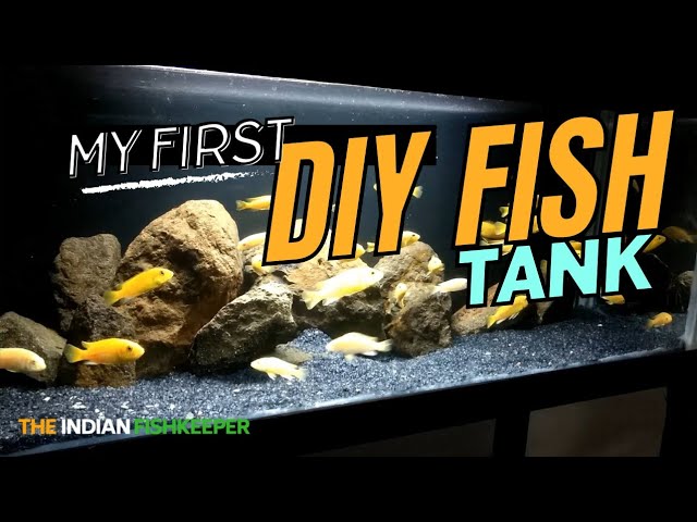 How To Make Fish Tank At Home | DIY | The Indian FishKeeper