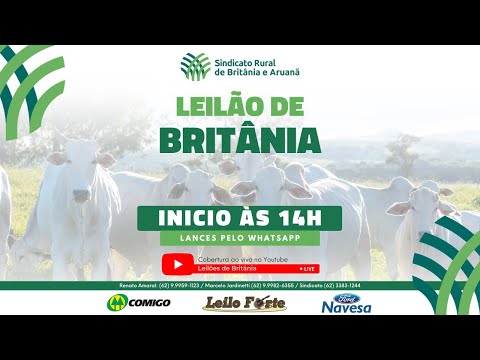 Leilão Sindicato Rural de Britânia-GO - 22/08/26 | Leilão ao vivo - Leilão de Gado