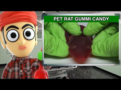 Jelly Belly Pet Rat Gummi Candy - Runforthecube Candy Review