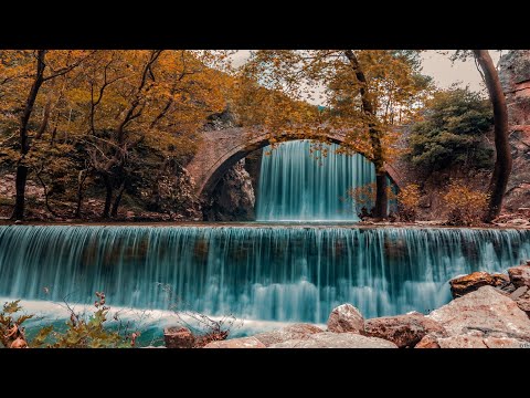 Evave - Let It Free (Original mix)