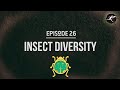 Insect Basics: UntamedScience #26