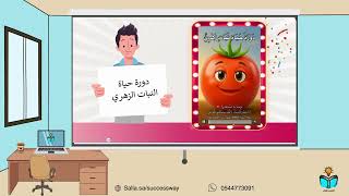 دورات الحياة -علوم- خامس -ف١ - ١٤٤٨هـ