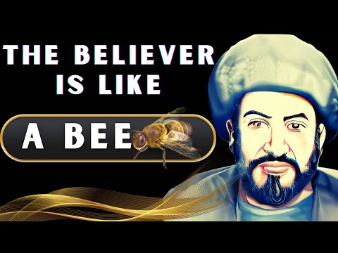 Imam Abu Hanifa Quotes! quotes by abu hanifa that's will motivate you!