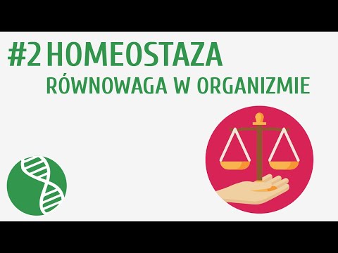 Homeostaza, równowaga w organizmie #2 [ Homeostaza ]