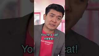 廢物管理公司的貓咖 6🐱Failure Management Cat Cafe 6 | Steven He官方中文翻譯