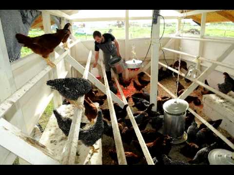 Training for new crop of farmers: Chris Hay