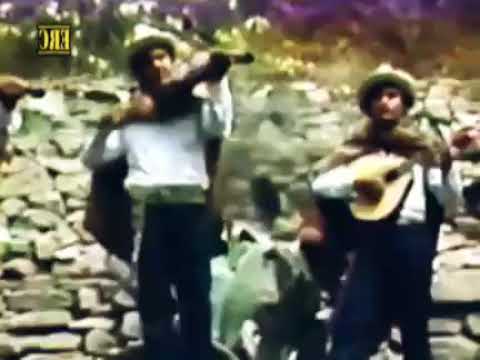 Malaya Suerte - Jilguero Del Huascaran