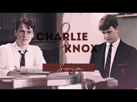 Charlie & Knox | Swim