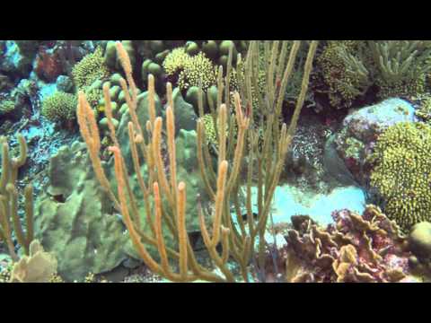 a tour of karpata, bonaire 2015