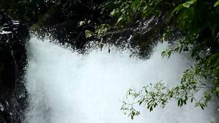 preview picture of video 'Catarata en La Fortuna / Waterfall in La Fortuna'