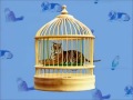 Elmo S World Pets Part 2