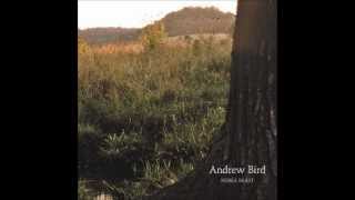 Andrew Bird-Not A Robot But A Ghost(Lyrics)