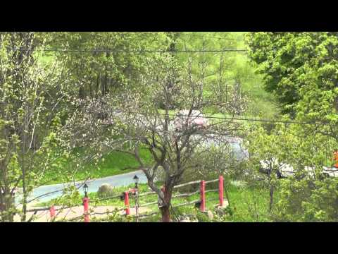 30 Rajd Karkonoski 2015 - Wodziński / Kaczmarek - Honda Civic [MaxxSport]