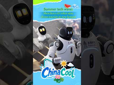Shenzhen's 6S robot store offers 'almost human' interactions #ChinaCool