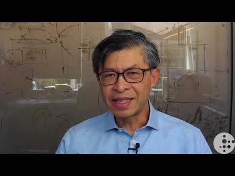 What is the cancer paradox?