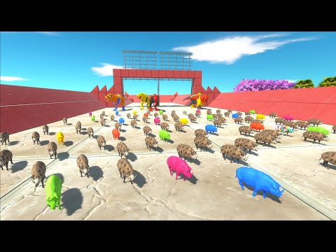 Many PIG Colors Race to escape from Superheroes T-REX!🔥 -Animal Revolt Battle Simulator