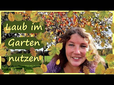 , title : 'Laub 🍂 im Garten nutzen │ Laubkompost'