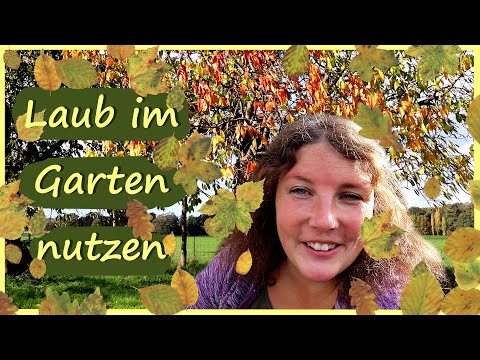 Laub 🍂 im Garten nutzen │ Laubkompost