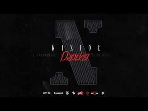 Nizioł - Świadomość