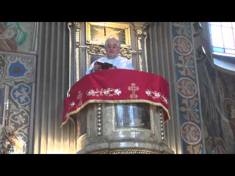 23.02.2014 Dum Infricosatoarei Judecati cuvant Pr D Meghesan