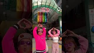 四国の愛媛県に上陸！withももまるのももちゃん?