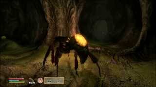 Let's Play Oblivion Part 138 - The Elytra Slaughterer