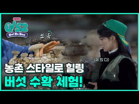 [생방송0!52] 도심 속에서 농촌 스타일로 힐링하기