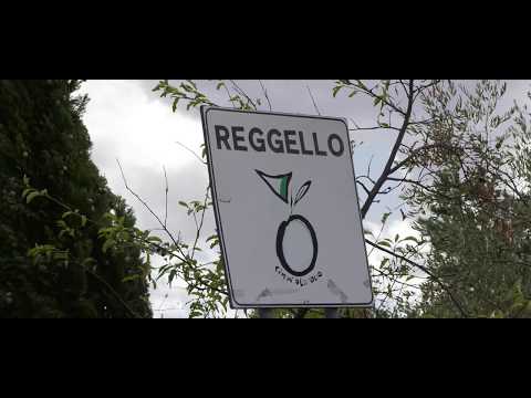 10° Rally Reggello 2017   Ciuffi Gonnella