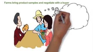 Visual Insights Multimedia - Teaser 1